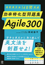 高校英文法 14日間完成 効率特化型問題集 Agile 300