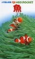 魚