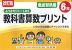 改訂版 ふりかえりシート付き 教科書算数プリント 徹底習熟編 6年